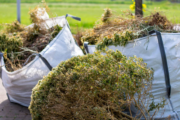 Best Trash Removal Near Me  in Hamburg, AR